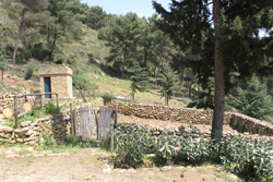 Foto all'interno dell'area attrezzata Monte Sara
