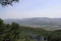 panorama