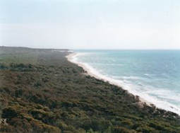 Riserva naturale foce del fiume Platani