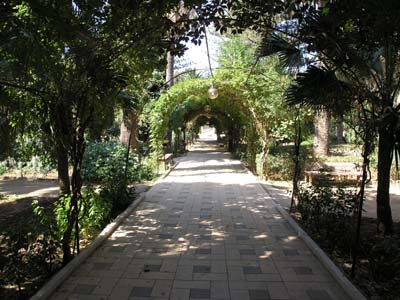 viale all'interno della villa comunale