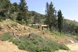 Foto all'interno dell'area attrezzata Monte Sara