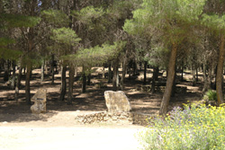 Foto all'interno dell'area attrezzata Monte Sara