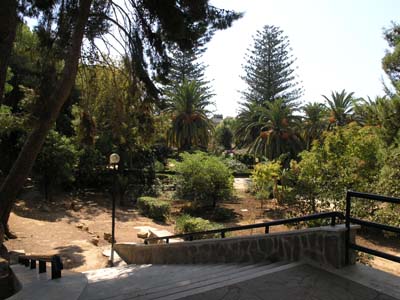 scalinata interna e alberi secolari