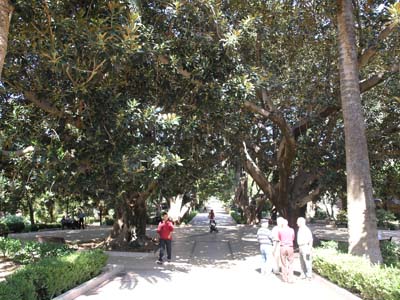 Il viale principale con piazzetta e alberi secolari